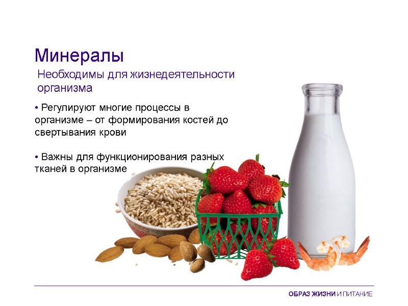 Минералы • Регулируют многие процессы в организме – от формирования костей до свертывания крови